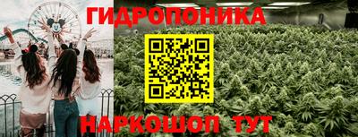 каннабис Гусиноозёрск