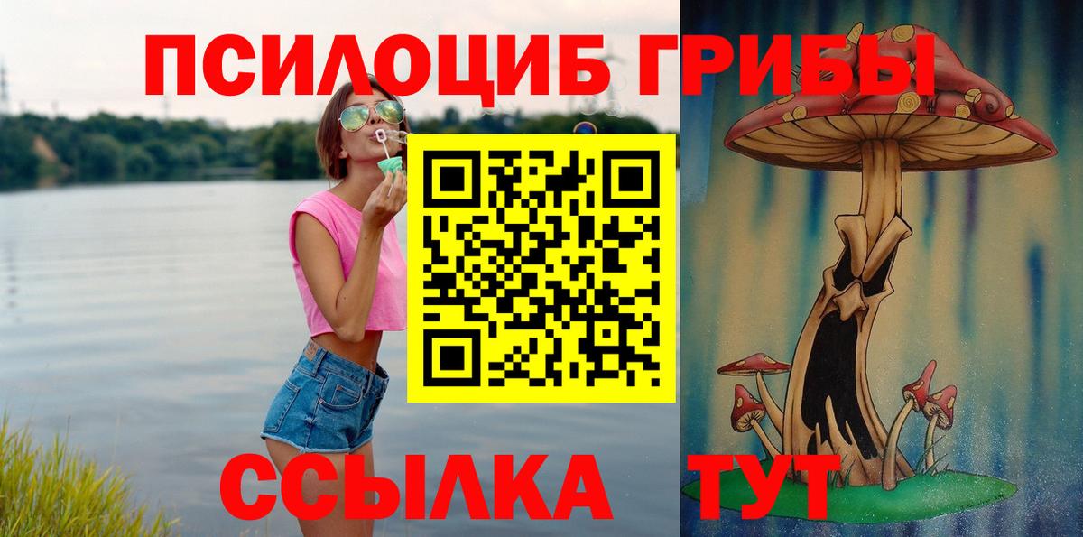 Псилоцибиновые грибы ЛСД Нальчик