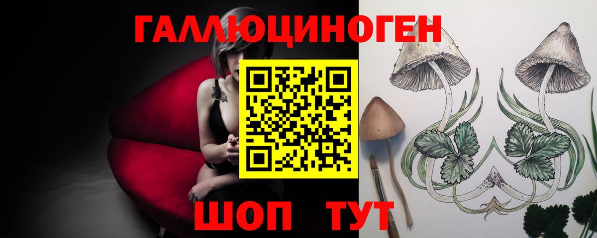 Галлюциногенные грибы Cubensis  Вход с VPN  Нальчик 